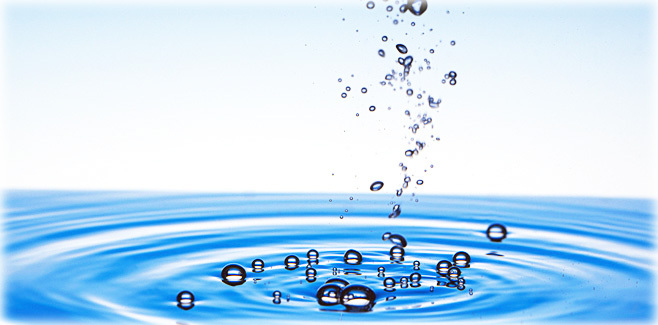 きれいな水といのちを守る合成洗剤追放全国連絡会